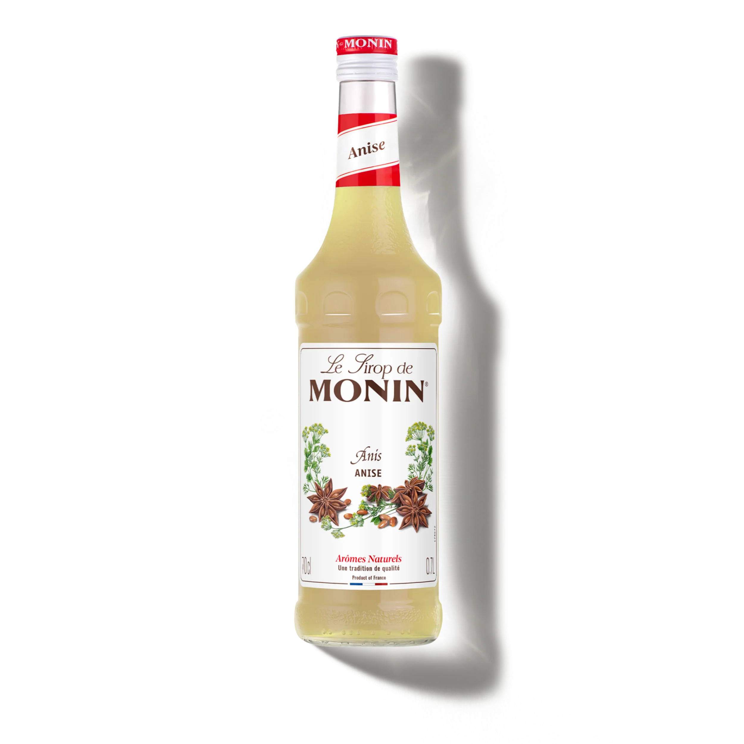 Le Sirop de MONIN Anis