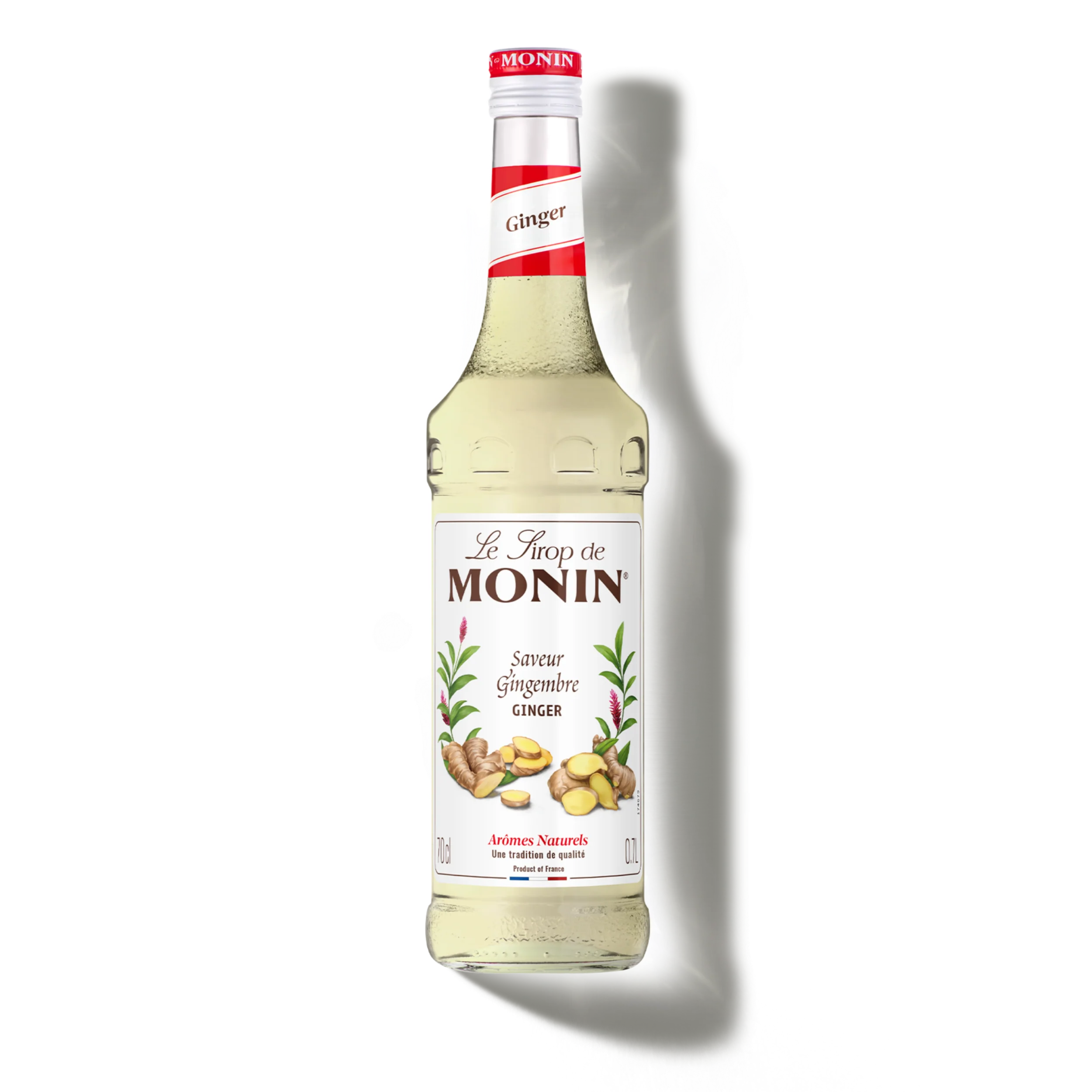 Le Sirop de MONIN Saveur Gingembre - Image 2
